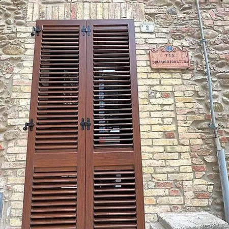 Ferruccio's House Апартаменты *